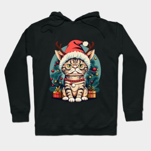 Grumpy Christmas Cat. Christmas Cat 2024 Hoodie